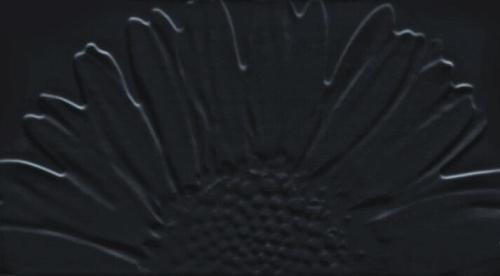 Tubadzin, Color Black&White, Colour Black Декор Sunflower 59,3х32,7