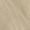 Ceracasa Ceramica Absolute RECT Pulido Vison 49,1x49,1 см Напольная плитка