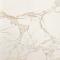 Fap Ceramiche Roma Diamond  75 Calacatta Brillante 75×75 см Напольная плитка